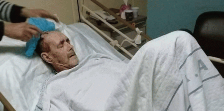 بالصور.. الجرذان تلتهم رأس مسن أردني